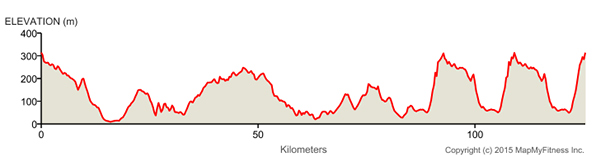 Stage 4 profile